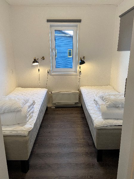 tekst