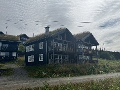 tekst