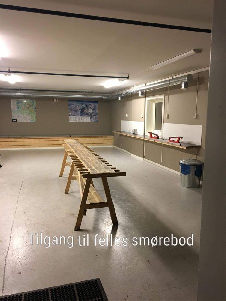 tekst