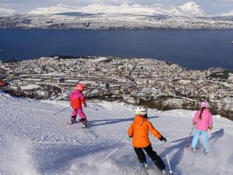 Narvikfjellet - NYHED