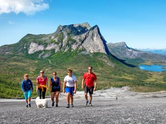 Narvikfjellet - NYHED