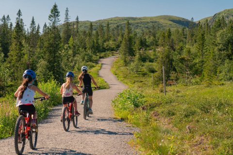 Norefjell - Norge